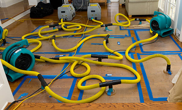 Professional Crawl Space Water Removal technician working in Camp Pendleton, CA